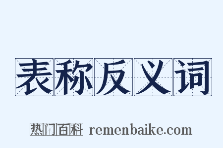 表称反义词是什么意思的图片